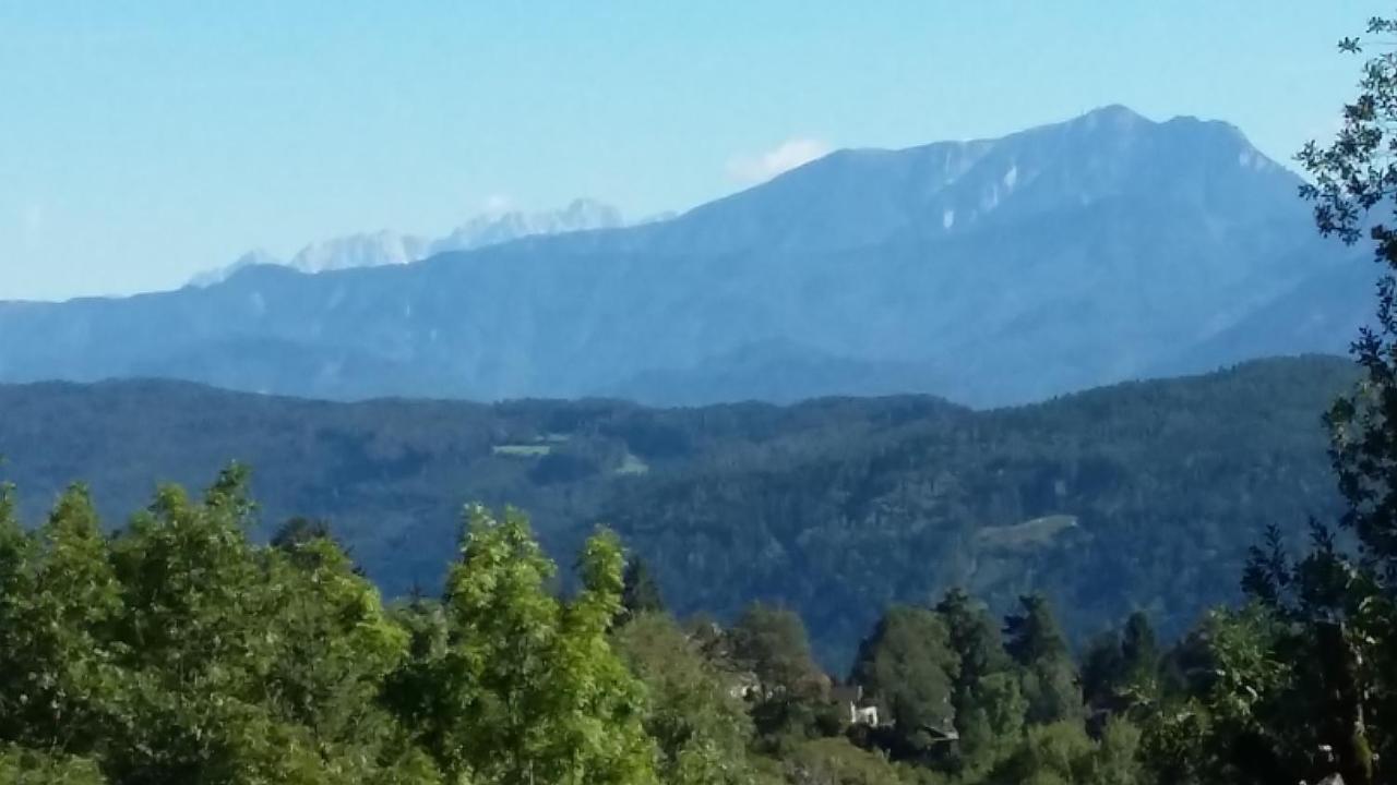 Muellnerhaus Διαμέρισμα Millstatt Εξωτερικό φωτογραφία