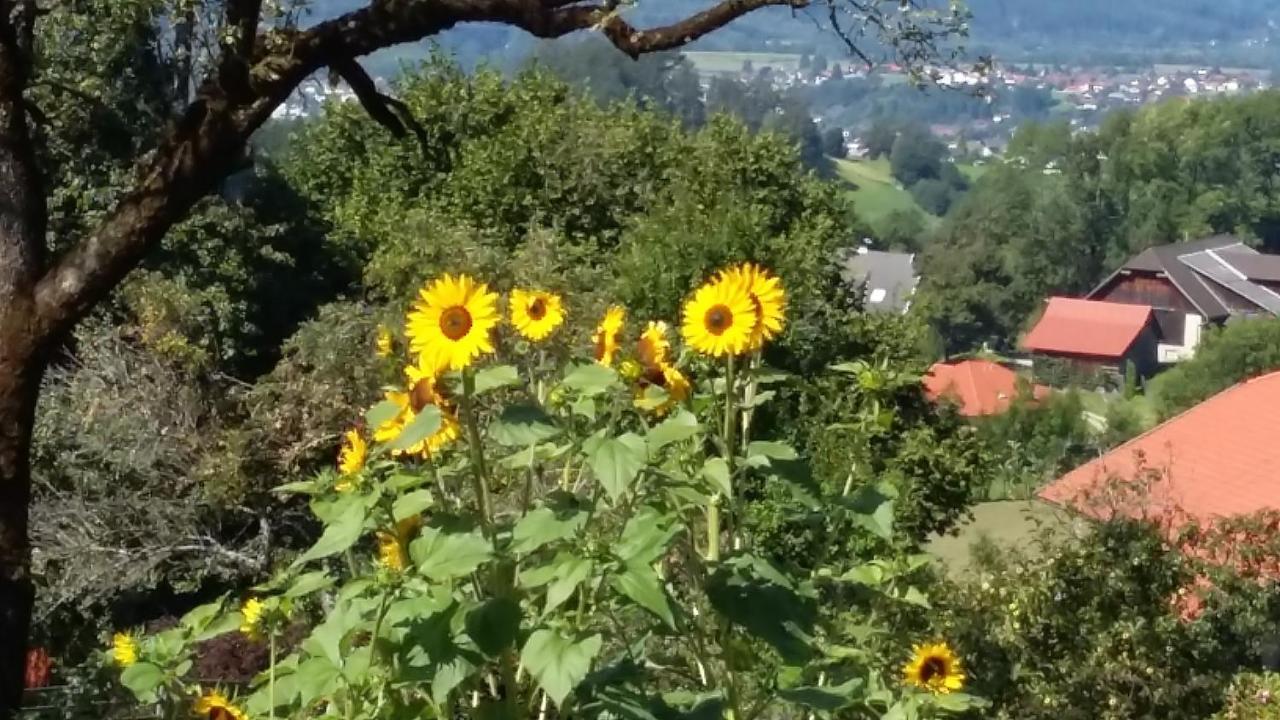 Muellnerhaus Διαμέρισμα Millstatt Εξωτερικό φωτογραφία