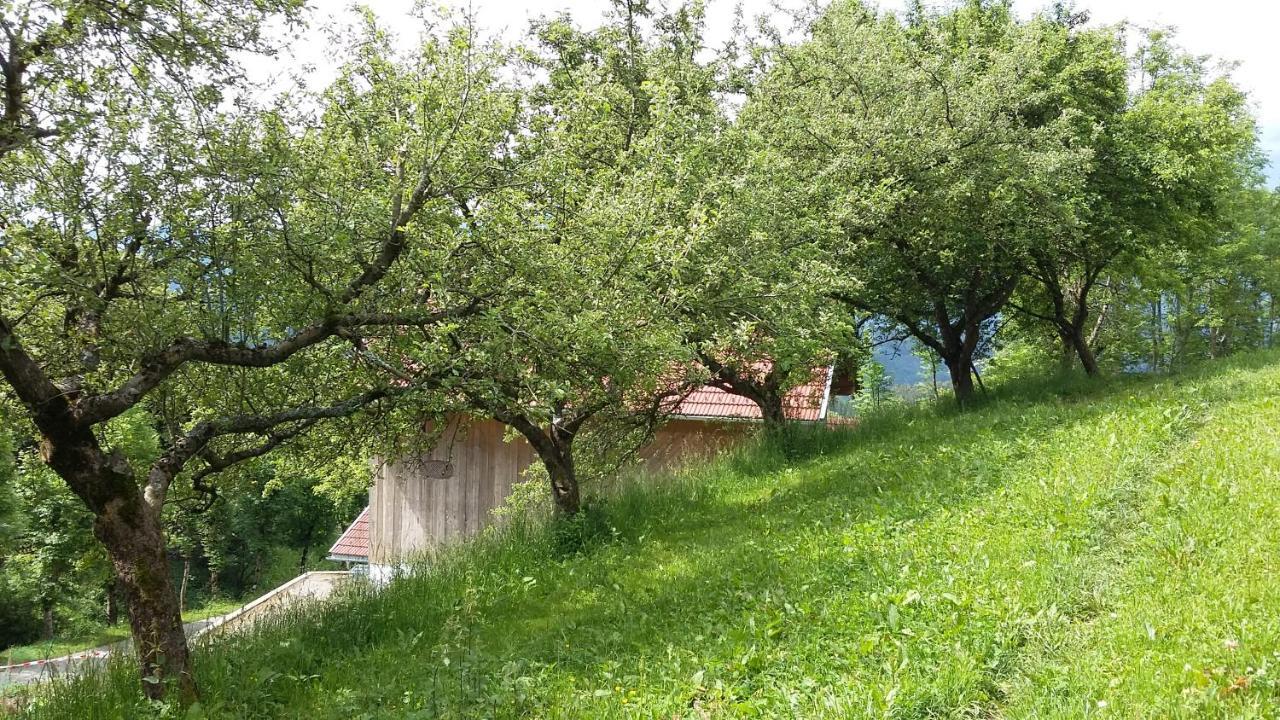 Muellnerhaus Διαμέρισμα Millstatt Εξωτερικό φωτογραφία